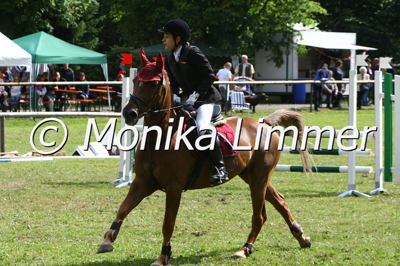 007L9111_Carino_Punktespringen  Ax.JPG